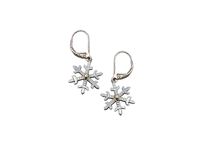 Two Tone Plated | Fashion Earrings